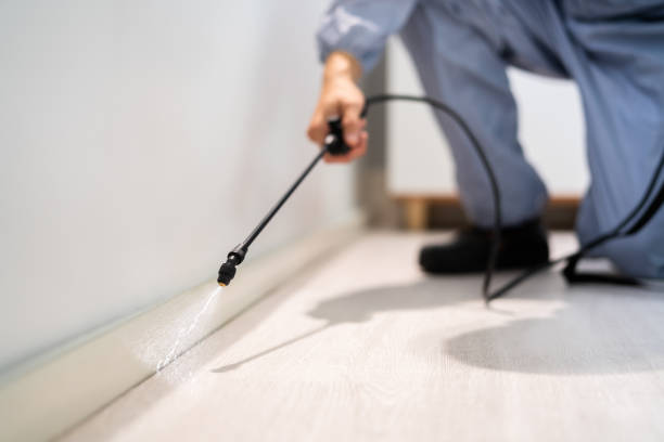 Licensed Pest Control service in Hawthorne, FL - Show Me Pest Control