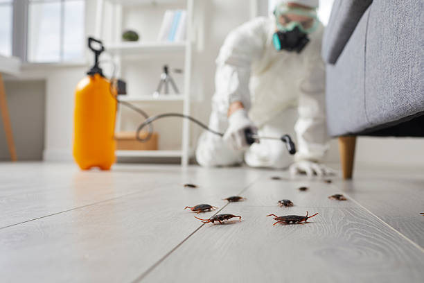 Commercial Rodent Management in Hawthorne